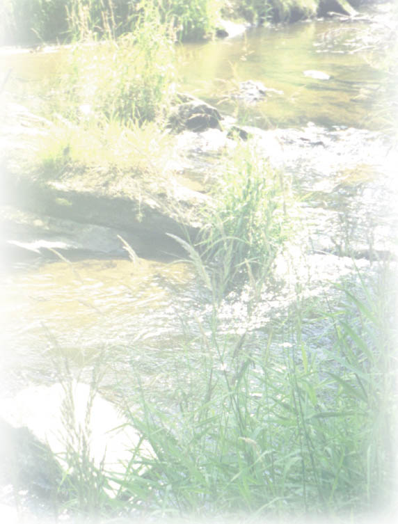 Image1.jpg